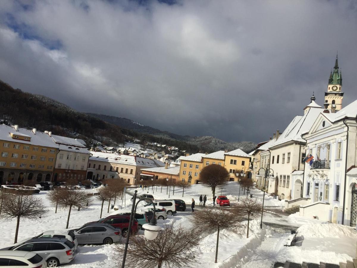 Gothic House Apartments Kremnica Dış mekan fotoğraf